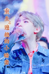 重生之邊總的小嬌妻