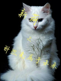 新葫之那些光属于未来