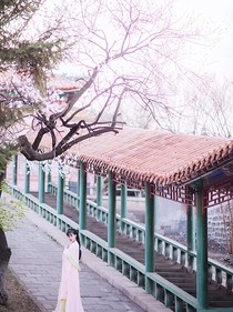 花千骨之恋