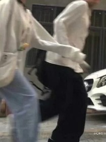 神兽战队之锋燕恋