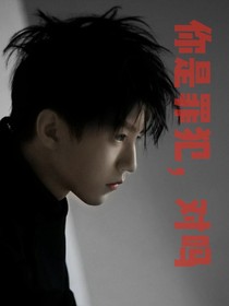 你是罪犯，对吗