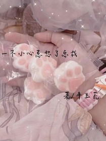 一不小心惹怒了總裁