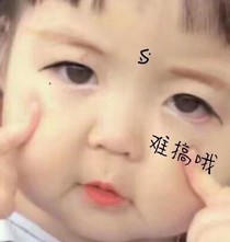 找呀找呀找朋友