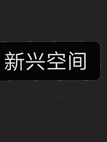 在新兴空间死去