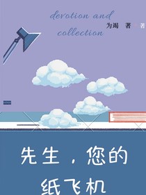 先生，您的纸飞机掉了
