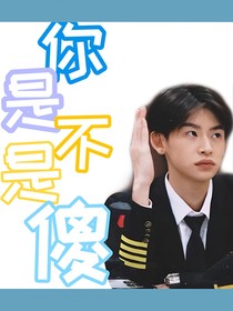 王琳凯：你是不是傻