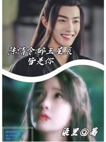 陈情令：碎玉星辰皆是你-d440