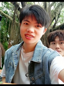 千年老树生情