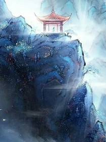 穿书之神医毒妃之救赎