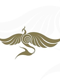 成為光幕后柯南世界