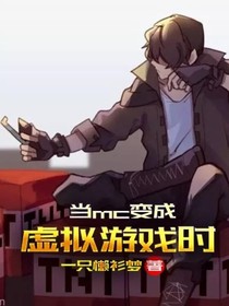 当mc变成虚拟游戏时-d729