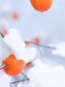 柒柒文案馆