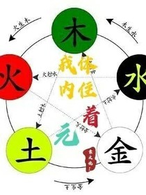 我的体内住着元素大佬