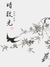 暗致光