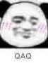 王狗蛋的传奇之路