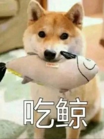 猫和老鼠之蝙蝠鼠小王子殿下