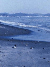 大海星辰