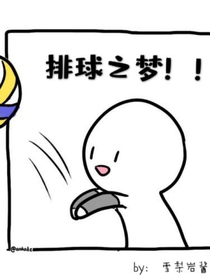 排球之梦！！！