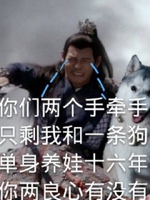 陈情令：快穿之系统不靠谱-d626