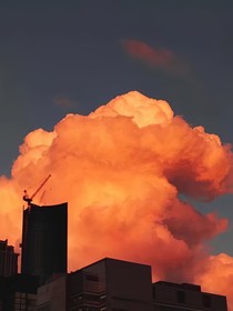 临安茶楼志