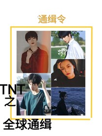 TNT：全球通缉