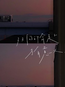 槿念那年