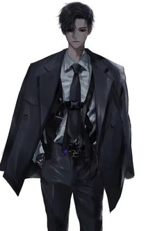 调戏总裁记