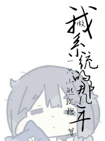 我做系統(tǒng)的那幾年
