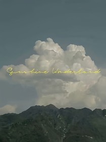 论一颗好哥哥是怎么瞎的