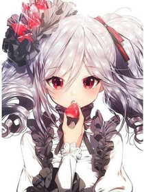 小马宝莉之新的伙伴1
