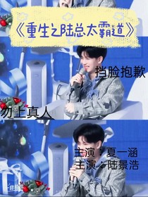 重生之陸總太霸道