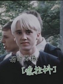 我的男孩——德拉科