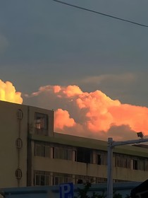 无晚