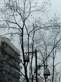還記得那年秋天