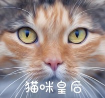 猫咪皇后