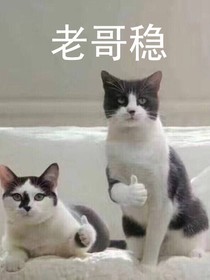 那些年有名的段子