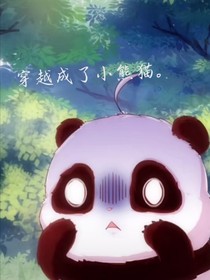 穿越成了小熊猫