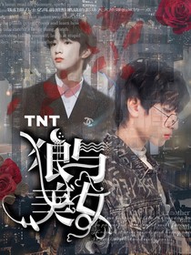 TNT：狼与美女