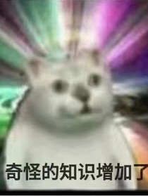 一千零一个沙雕小故事