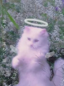 只要不死什么都无所谓啦