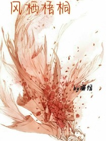 風(fēng)棲梧桐