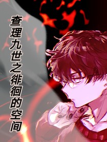 查理九世之徘徊的空间
