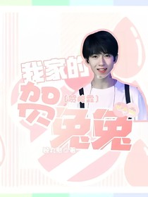 我家的贺兔兔