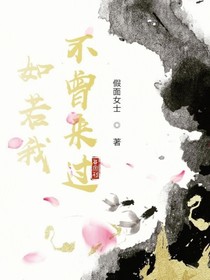 如若我不曾来过