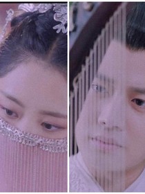 锦衣之下公主回归
