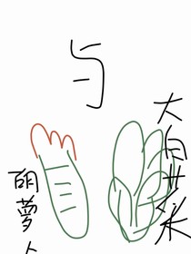 胡萝卜与大白菜