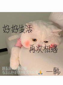 好好生活再次相遇