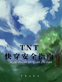 TNT—快穿安全指南……