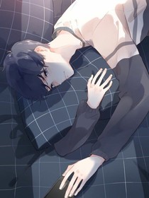 假媳妇