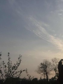 利柯星